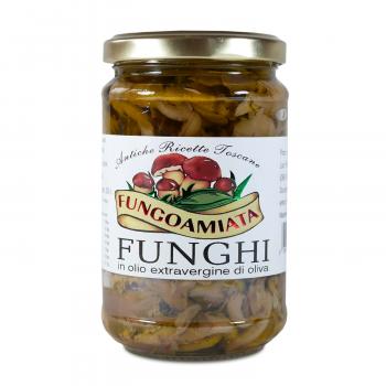 Funghi in Olio – Austern-Seitlinge in Olivenöl